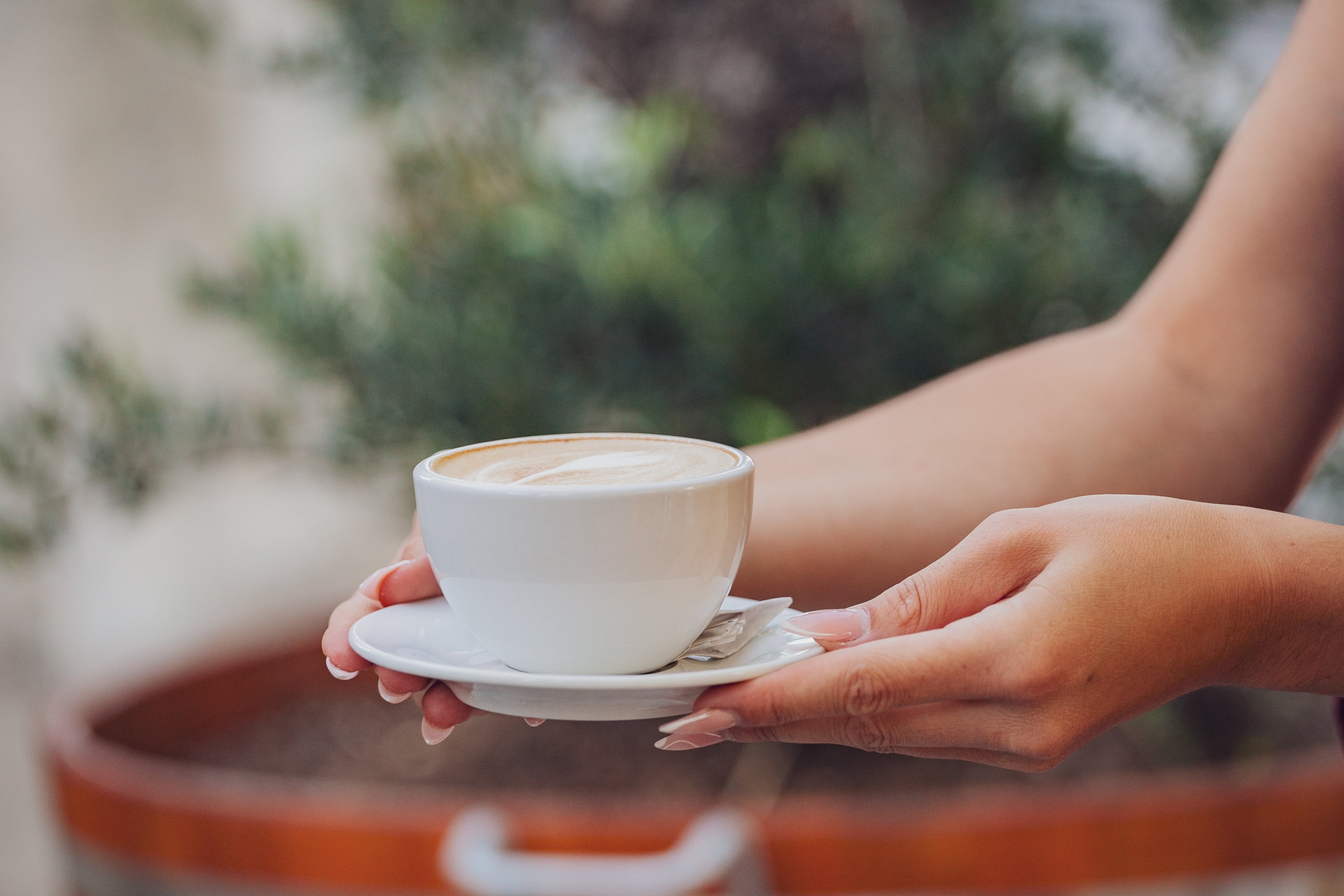Bio Fair Trade Coffee Beans